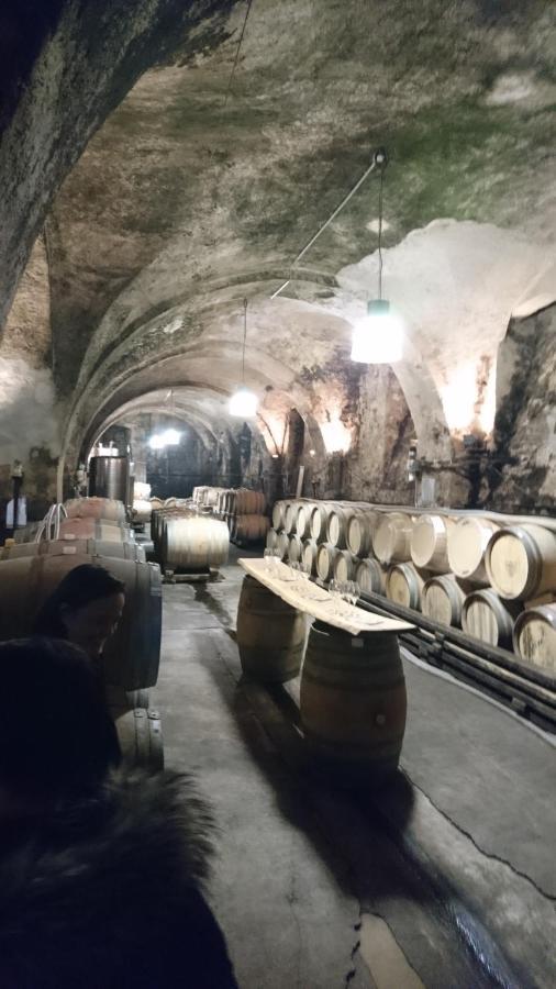 Appartamento Casa Asensio Ebringen Esterno foto