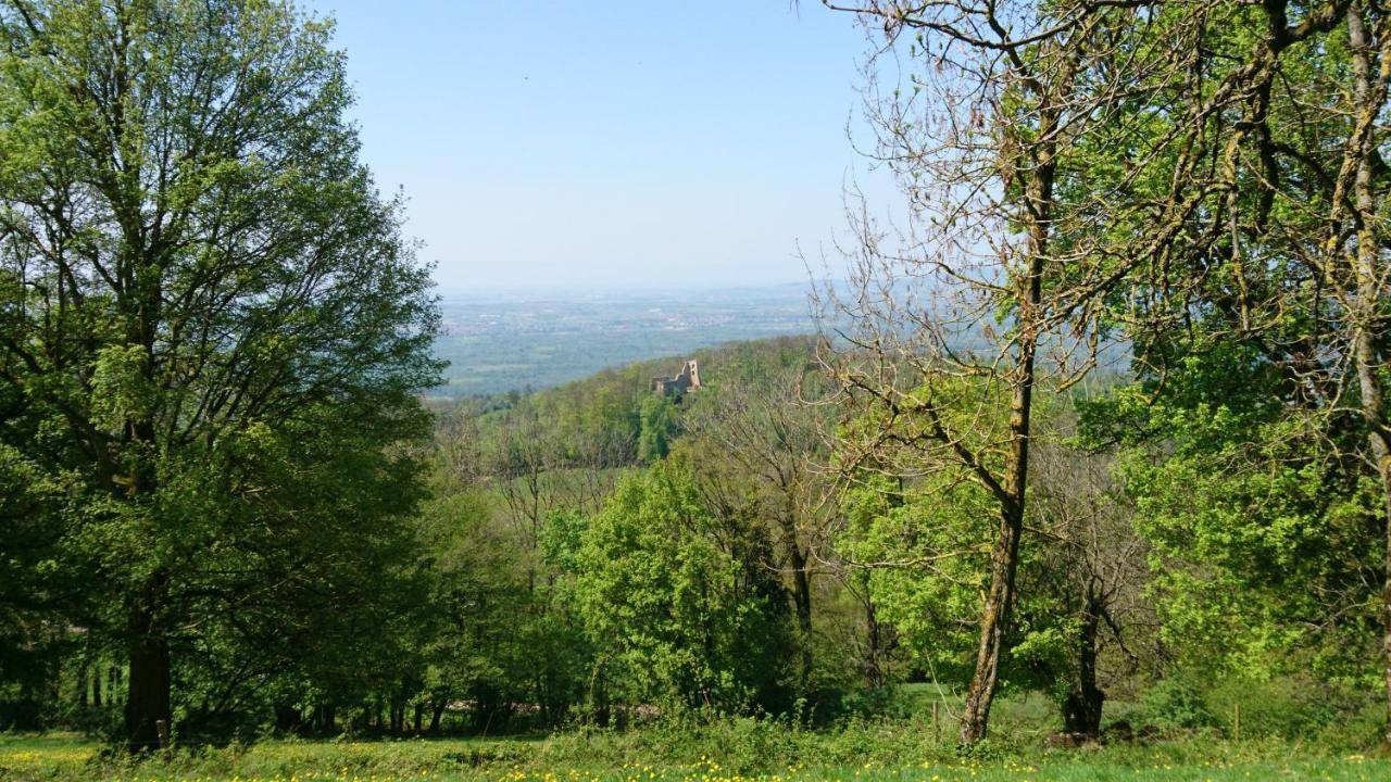Appartamento Casa Asensio Ebringen Esterno foto