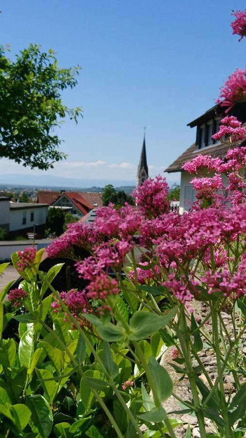 Appartamento Casa Asensio Ebringen Esterno foto
